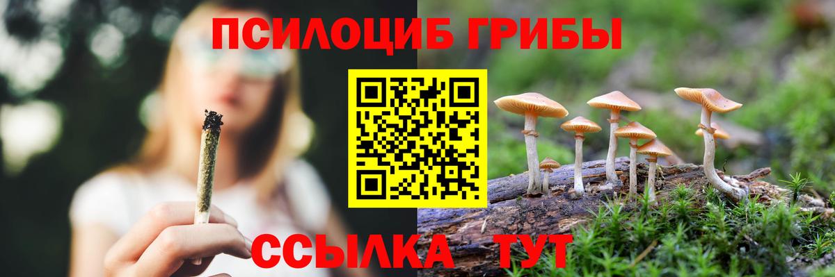 Галлюциногенные грибы прущие грибы  Вход с VPN  Галлюциногенные грибы прущие грибы  Донской 